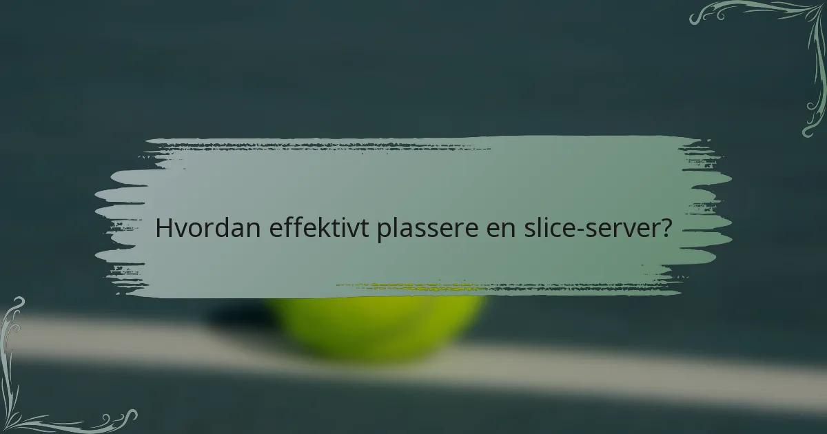 Hvordan effektivt plassere en slice-server?